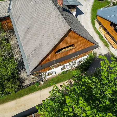 House, Garden And A Cat Holiday home *