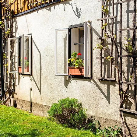 House, Garden And A Cat Bled