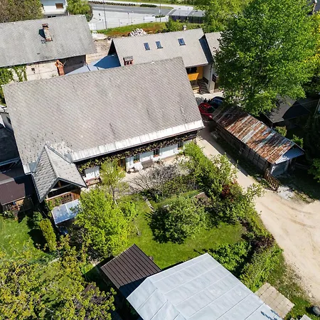 House, Garden And A Cat * Bled