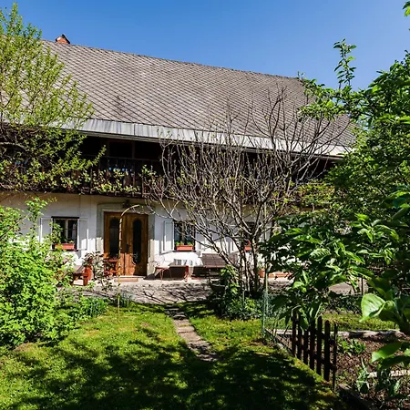 House, Garden And A Cat Holiday home *