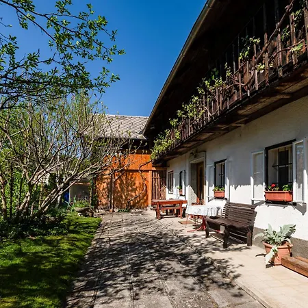 House, Garden And A Cat * Bled