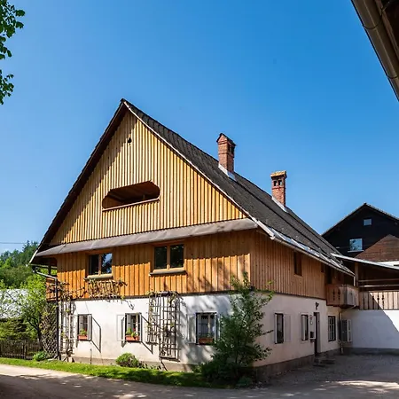 House, Garden And A Cat Holiday home Bled
