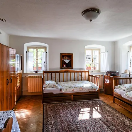 House, Garden And A Cat Holiday home Bled