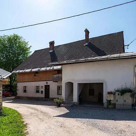 House, Garden And A Cat Holiday home