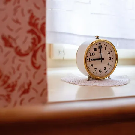 Nyaraló House, Garden And A Cat *