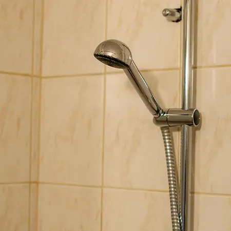 House, Garden And A Cat Дом отдыха