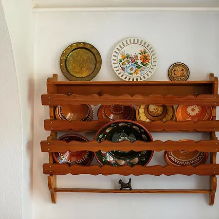 House, Garden And A Cat *