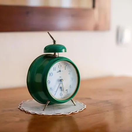 House, Garden And A Cat *