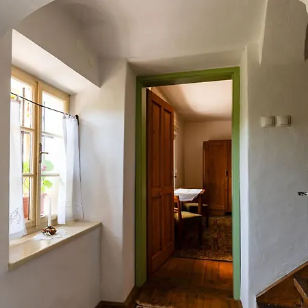 House, Garden And A Cat Блед