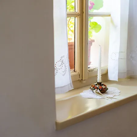 House, Garden And A Cat Bled