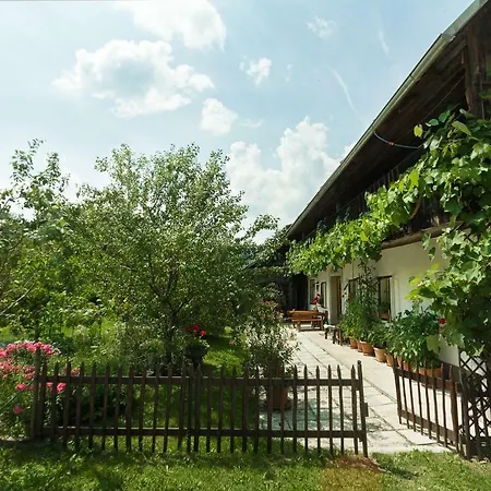 Holiday home House, Garden And A Cat Bled