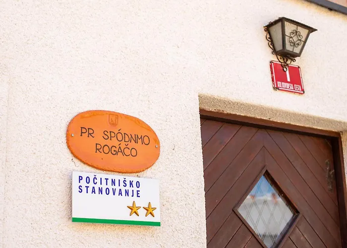 House, Garden And A Cat Holiday home