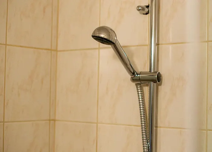 House, Garden And A Cat Holiday home