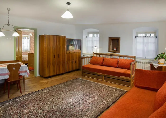 House, Garden And A Cat Bled