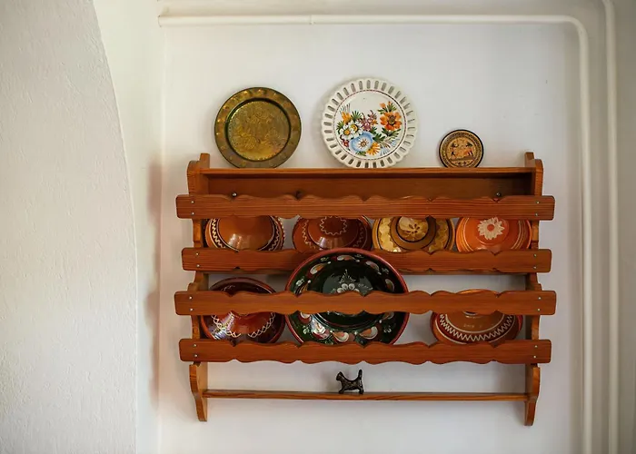 House, Garden And A Cat *