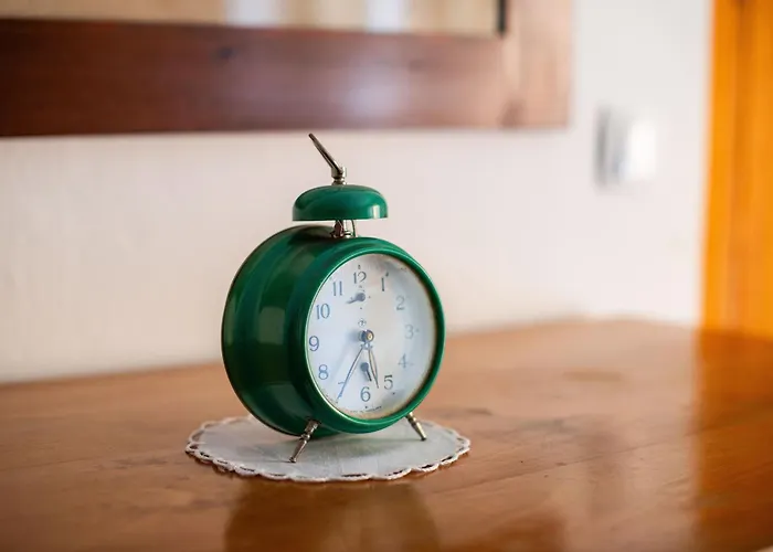 House, Garden And A Cat *