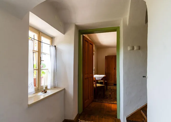 House, Garden And A Cat Bled