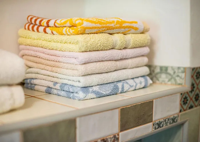 House, Garden And A Cat Holiday home