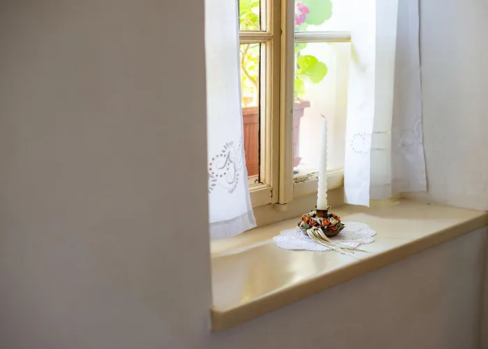 House, Garden And A Cat Bled